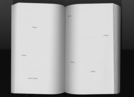 Franz Kafka, Briefe an Felice, Buch, Kafka