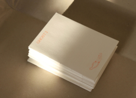 Ghost 2, Lonely Girl Phenomenology, Vivi's Love Potion, Riso, Zine 