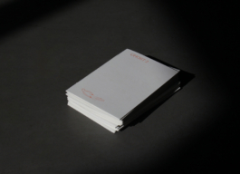 Ghost 2, Lonely Girl Phenomenology, Vivi's Love Potion, Riso, Zine, HeavyWeightType, Cigars 