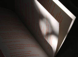 Ghost 2, Lonely Girl Phenomenology, Vivi's Love Potion, Riso, Zine 