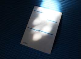 Lonely Girl Phenomenology, Vivi's Love Potion, Riso, Zine, Risography