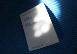 Lonely Girl Phenomenology, Vivi's Love Potion, Riso, Zine, Risography