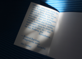 Lonely Girl Phenomenology, Vivi's Love Potion, Riso, Zine, Risography