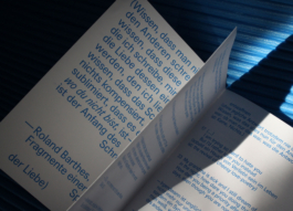 Lonely Girl Phenomenology, Vivi's Love Potion, Riso, Zine, Risography