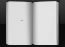 Franz Kafka, Briefe an Felice, Buch, Kafka