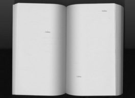 Franz Kafka, Briefe an Felice, Buch, Kafka