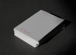 Ghost 2, Lonely Girl Phenomenology, Vivi's Love Potion, Riso, Zine 