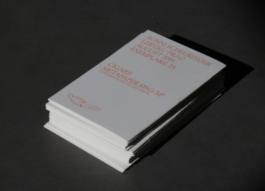 Ghost 2, Lonely Girl Phenomenology, Vivi's Love Potion, Riso, Zine 