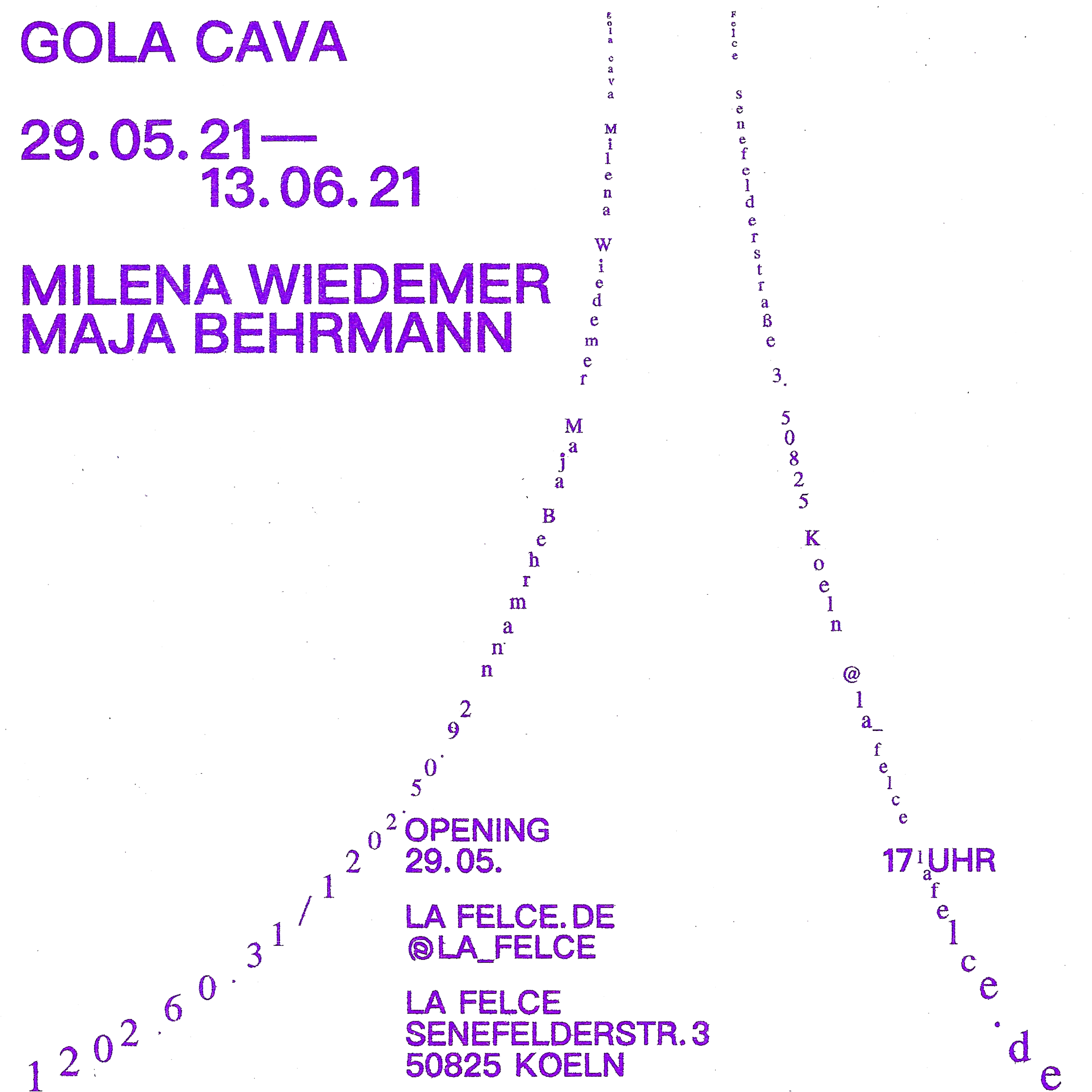 gola cava, maja behrmann, milena wiedemer, la felce, köln, ausstellung, plakat 
