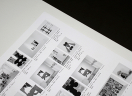 Maja Behrmann, Portfolio Publikation, Galerie Eigen+Art 