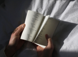 etel adnan, noc, octopus press, fra editions, plato ostrava 