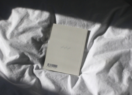 etel adnan, noc, octopus press, fra editions, plato ostrava 