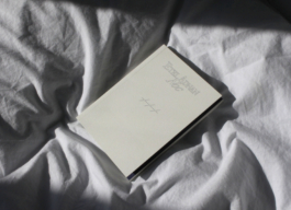 etel adnan, noc, octopus press, fra editions, plato ostrava 