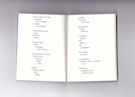 etel adnan, noc, octopus press, fra editions, plato ostrava 